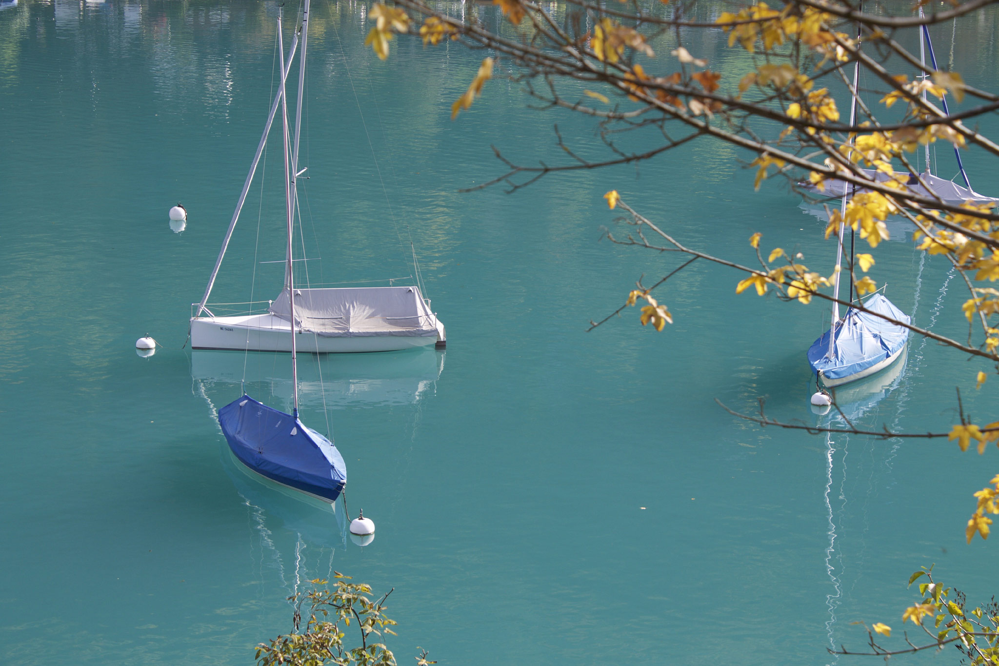 Iseltwald, Brienzersee